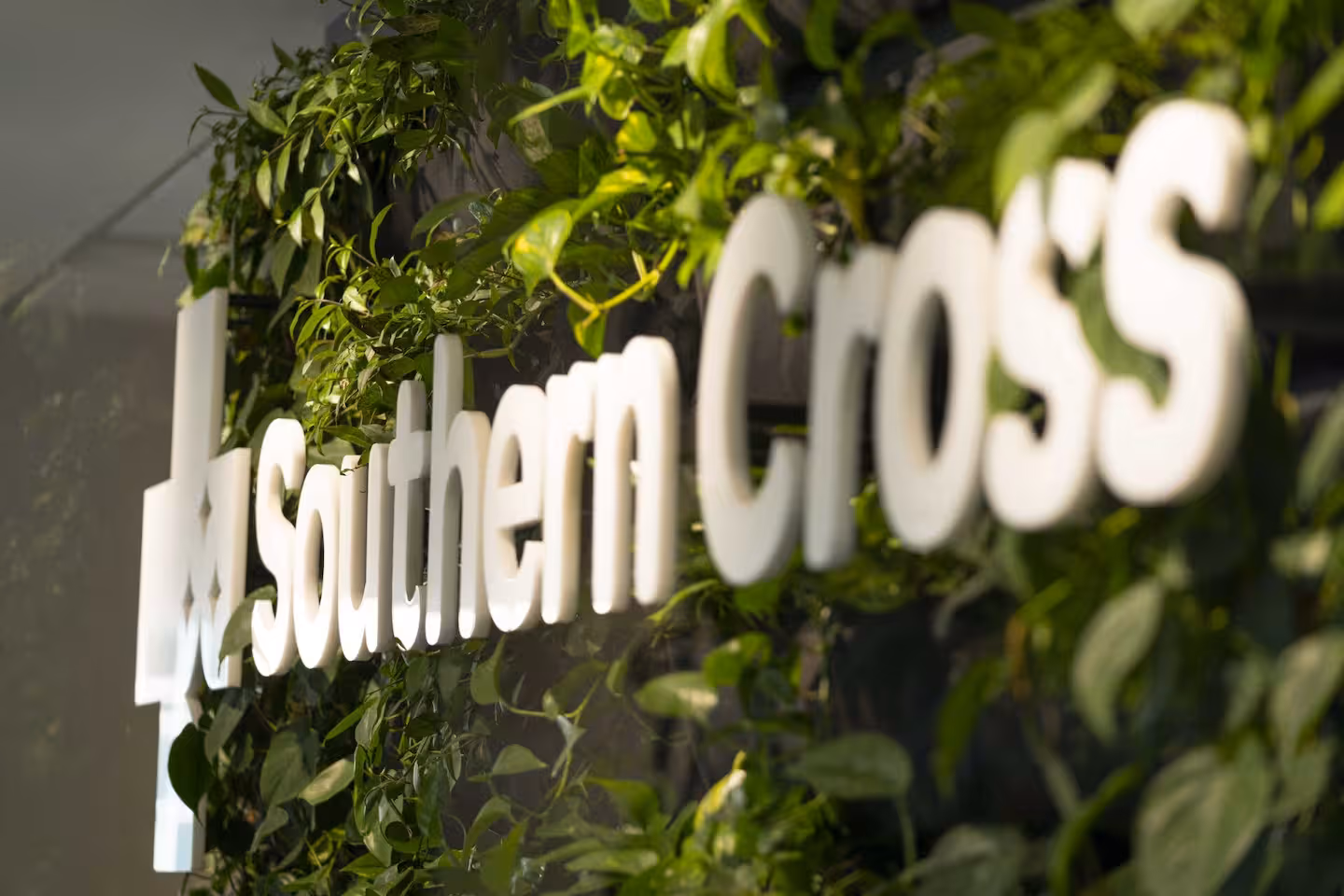 Southern Cross | 新西兰最大的健康保险公司参保人数逐年下降,但2026财年赚了1.47亿!